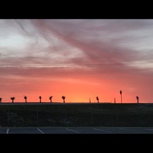 Meet your Posher, Dawn